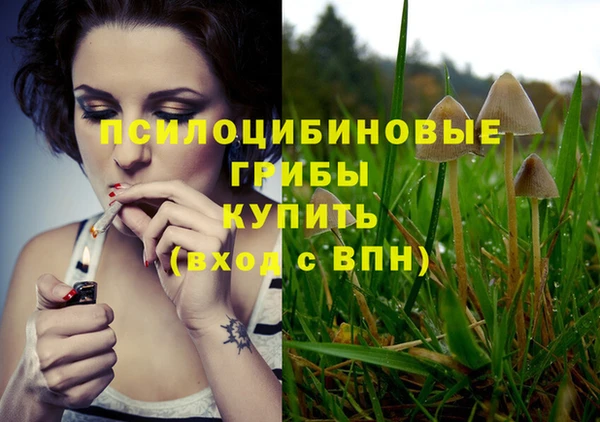 PSILOCYBIN Магадан