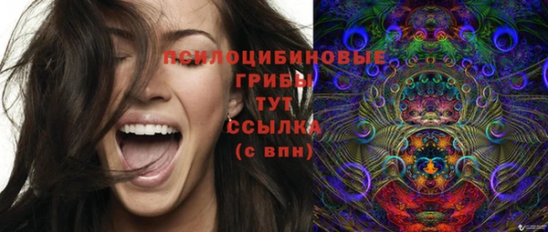 спайс Надым