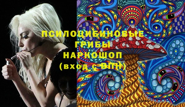 дживик Наволоки