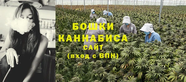 гидра Медногорск