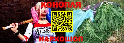 СК Гатчина