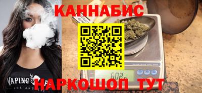 СК Гатчина