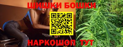 СК Гатчина