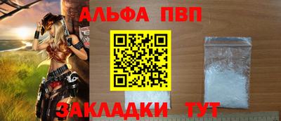 СК Гатчина