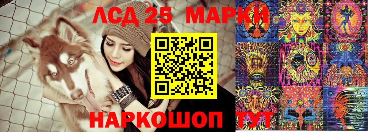 A-PVP Россия