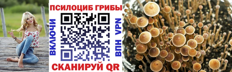Псилоцибиновые грибы GOLDEN TEACHER  Красноярск 