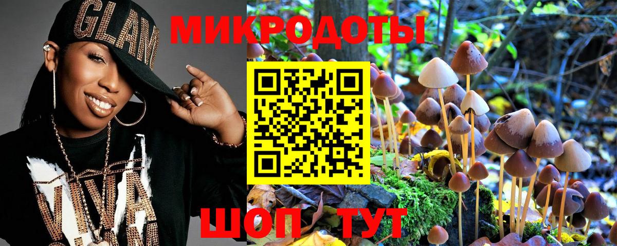 Псилоцибиновые грибы мухоморы Россия