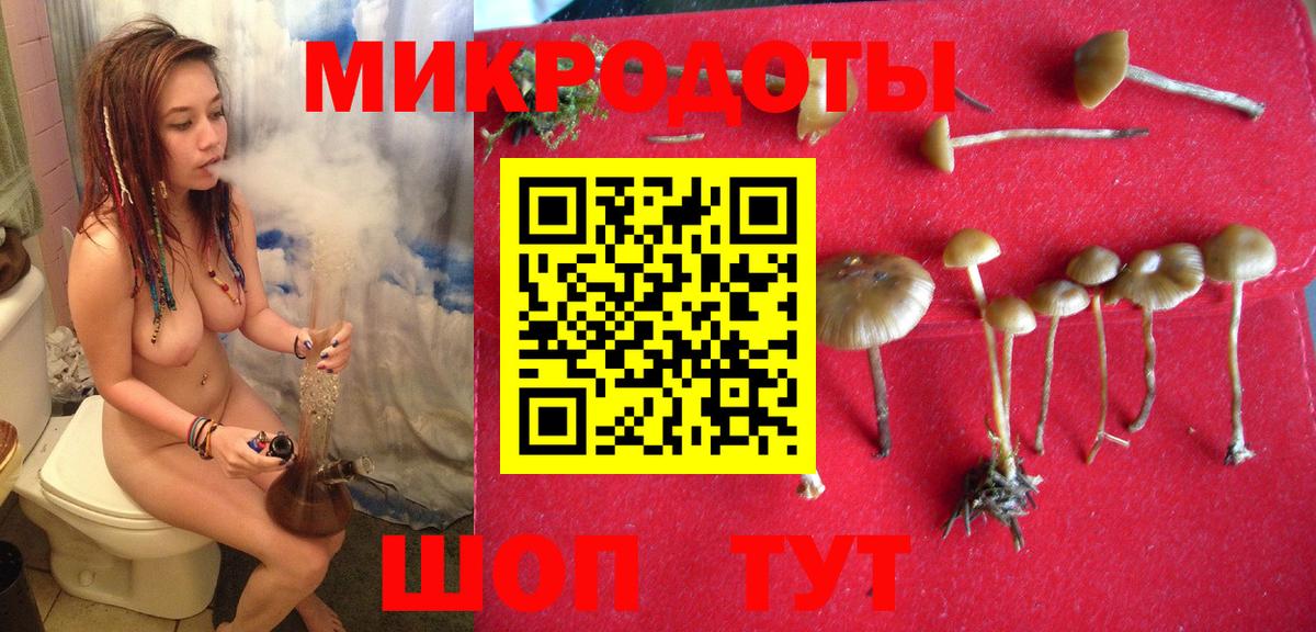 Псилоцибиновые грибы мицелий Россия