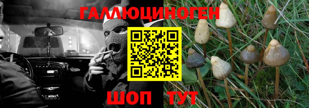 Псилоцибиновые грибы Magic Shrooms  Псилоцибиновые грибы мухоморы  закладка  Вход с VPN  Россия 