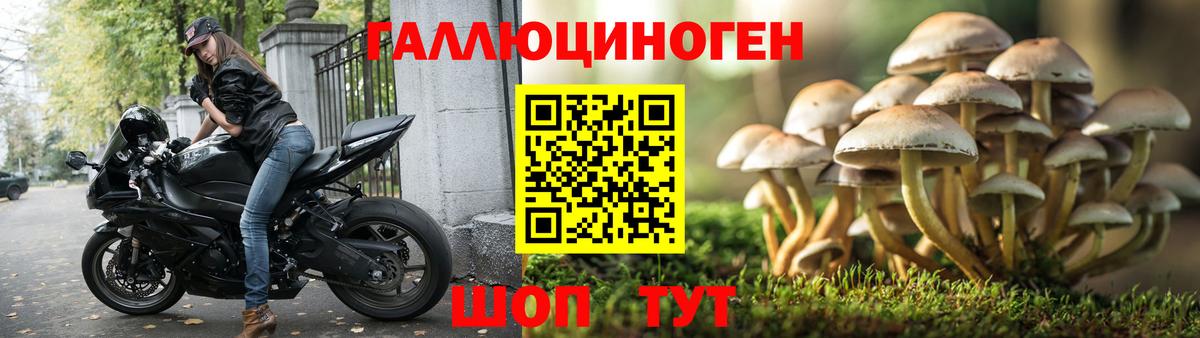 Россия  Галлюциногенные грибы Psilocybe  Галлюциногенные грибы мицелий  Вход с VPN 